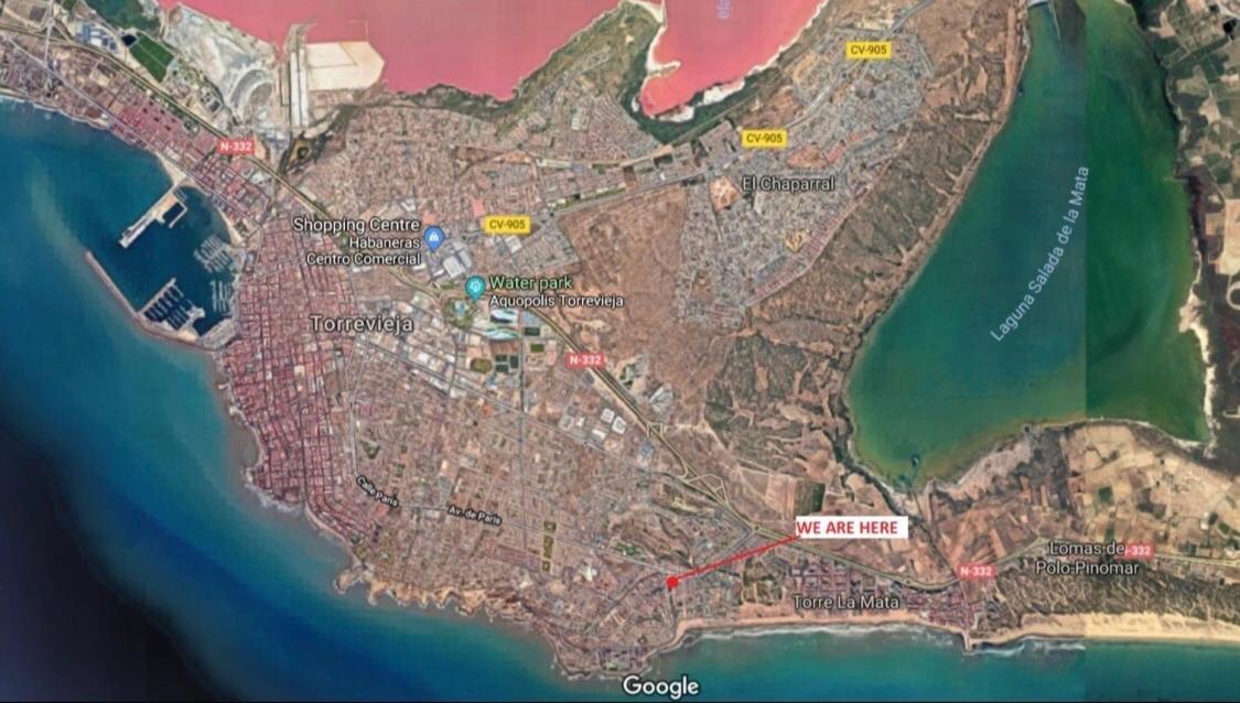 Apartment With Pool & Balcony Less Than 10Min Walk To La Mata Beach! 托雷维耶哈 外观 照片