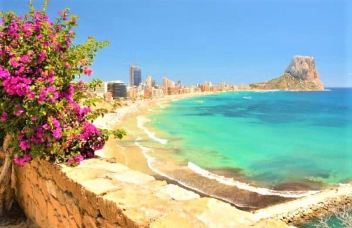 Apartment With Pool & Balcony Less Than 10Min Walk To La Mata Beach! 托雷维耶哈 外观 照片