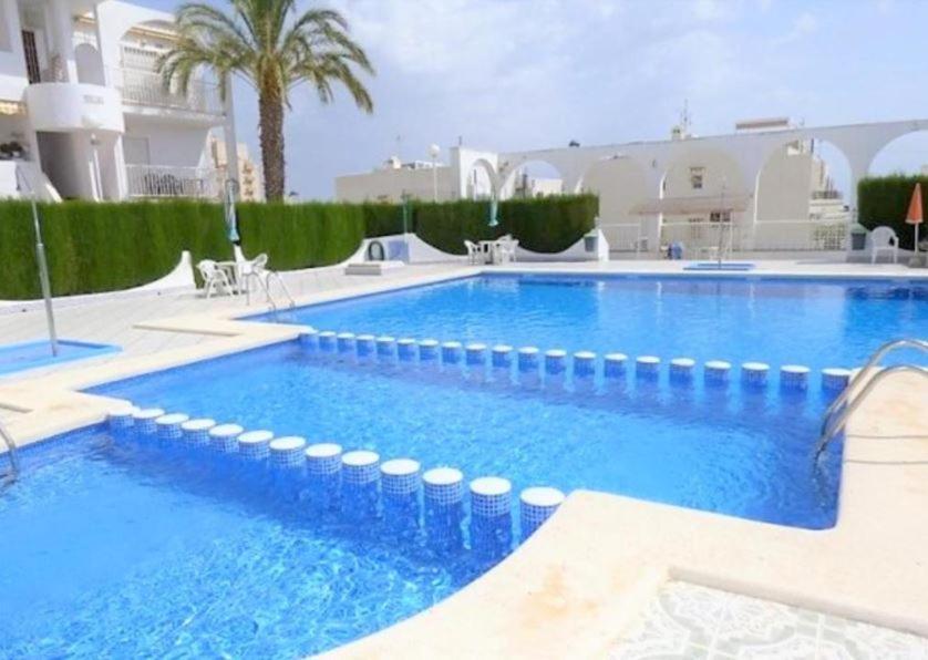 Apartment With Pool & Balcony Less Than 10Min Walk To La Mata Beach! 托雷维耶哈 外观 照片